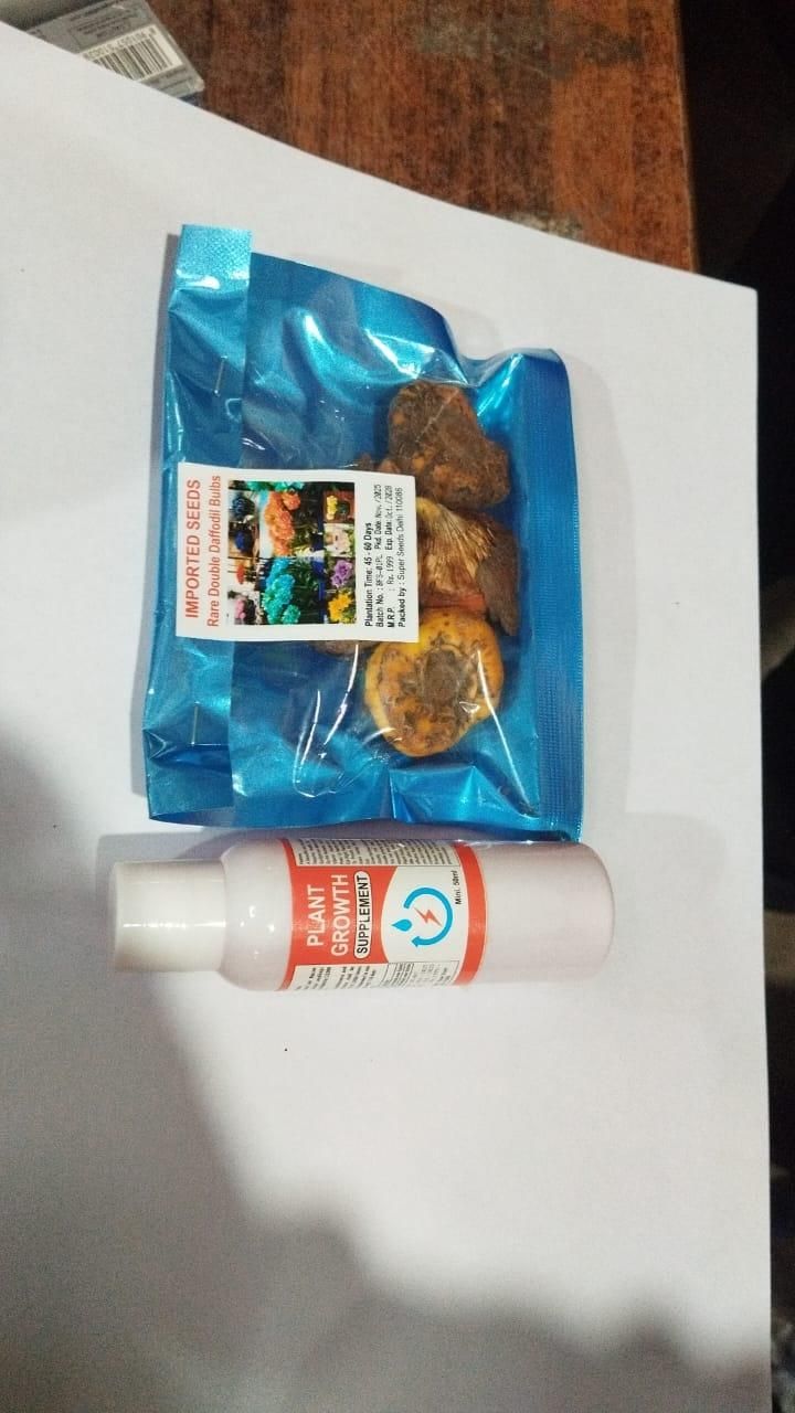 Rare Daffodil Bulbs with Plant Growth Supplement (Pack of 4)